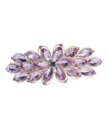 HAPINARY Rhinestone Spring Hair Accessories Vintage Hair Accessories Crystal Hair Clips Hair Claw Clips for Girls Wedding Hair Clip Purple Miss Alloy Big Hairpin Delicate
