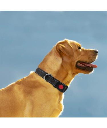 Taglory Soft Padded Neoprene Dog Collar for Large Dogs | Adjustable & Reflective | Black L - Perfect for Training | International Shipping Available - Buy Online on SooperMarket.com
