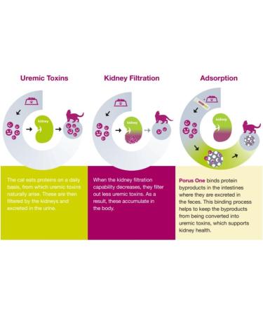 Porus One 30x500mg | Kidney Support Supplement for Cats | Reduce Uremic Toxins - Buy Online on SooperMarket.com