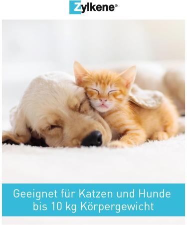 Zylkene Vetoquinol Capsules 75 mg - 60s Pack | Support for Dogs in Unusual Situations | Buy Online - International Shipping Available - Buy Online on SooperMarket.com