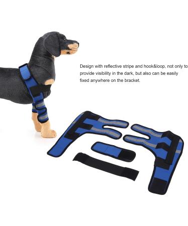 Dog Front Leg Protector 1 Pair Dog Front Leg Braces Wrist Guard for Ligament Injuries Sprains for Loss of Stability(#3 S) - Buy Online on SooperMarket.com
