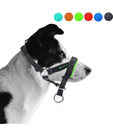 Padded Dog Head Collar for Anti-Pulling Control | Adjustable Head Harness in L Lake Blue - Buy Online on SooperMarket.com