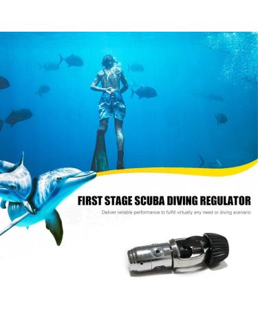 HPDAVV Diving Tank Cylinder - Re-Breather Valve, 7/8-14UNF Thread, G5/8-4500PSI Outlets, Black Knob - 30 Mpa Bottle & Scuba Breathing Apparatus - Buy Online on SooperMarket.com