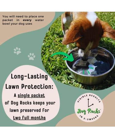 Dog Rocks - Urine Patch Preventer (200g) / Natural Dog Urine Neutraliser for Water Bowls Grass Repair Urine Burn Patch Repair 200 g (Pack of 1) - Buy Online on SooperMarket.com