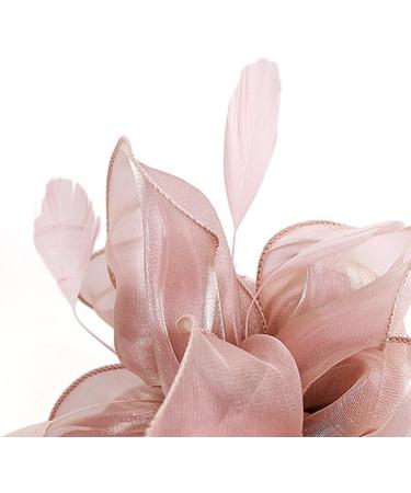 FRCOLOR Fascinator Feather Headband / Clip Party Wedding Royal Ascot Races Hair Accessories Headdress (Nude Pink) - Buy Online on SooperMarket.com