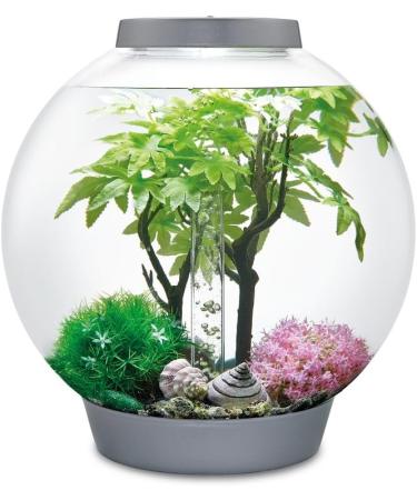 Biorb 55029 Decor Set 30L Sommer - Realistic Artificial Aquatic Plants & Stones for Freshwater & Saltwater Aquariums - Buy Online on SooperMarket.com