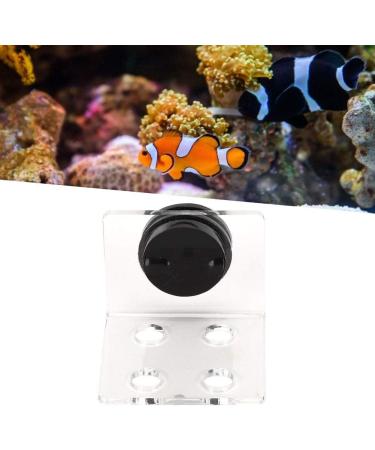 Buy Cikonielf Magnetic Coral Frag Rack - 4 Hole Transparent Acrylic Aquarium Coral Holder for International Shipping - Buy Online on SooperMarket.com