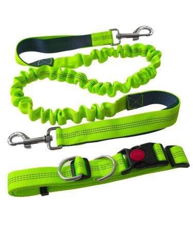 Aiqeer Green Hands Free Dog Leash Adjustable Waist Belt and Retractable Bungee Leash Jogging Dog Leash with Reflective Stitching (Grey Handle)