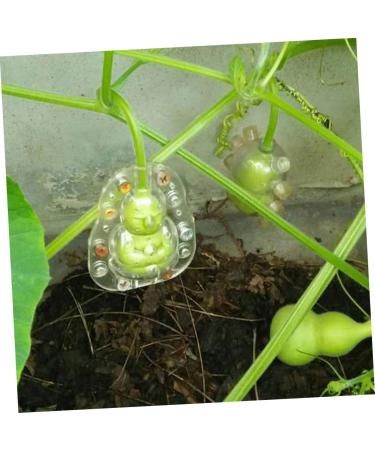 GANAZONO 25 Pcs Vegetable Mini Accessories Pumpkin molds Plastic Reusable molds Cucumber 7.6x5.6cmx5pcs Transparentx5pcs - Buy Online on SooperMarket.com