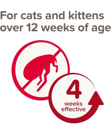 Beaphar Cat Spot On Four Week Protection Flea Repel Solution - Buy Online on SooperMarket.com