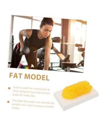 Gatuida Anatomical Fat 4pcs Fat Model Models Human Body Fat Plastic Body Fat Human Fat 1 Pound Demonstration Device Module - Buy Online on SooperMarket.com