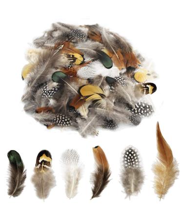 180pcs 6 Style Natural Feathers Assorted Mixed Feathers for Dream Catcher Crafts Decoration (6 Styles/180 Pcs)