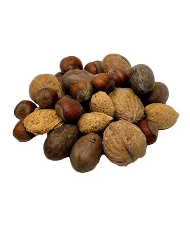 NUTS U.S. – Mixed Nuts In Shell (Almonds, Walnuts, Hazelnuts, Pecans) | No Added Colors and No Artificial Flavors | Fresh Buttery Taste and Raw |Packed In Resealable Bags!!! (6 LBS) 6 Pound (Pack of 1)