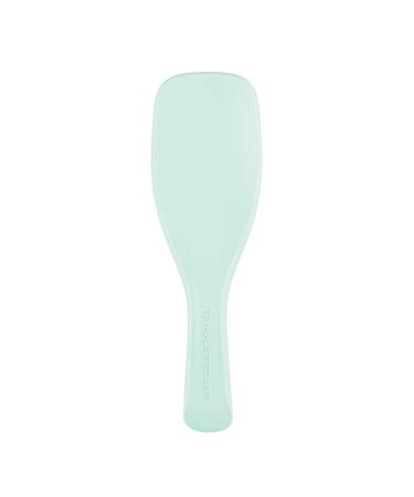 Tangle Teezer The Wet Detangler Hairbrush for Fine & Brittle Hair - Jade Lagoon | International Shipping | Shop Now! - Buy Online on SooperMarket.com