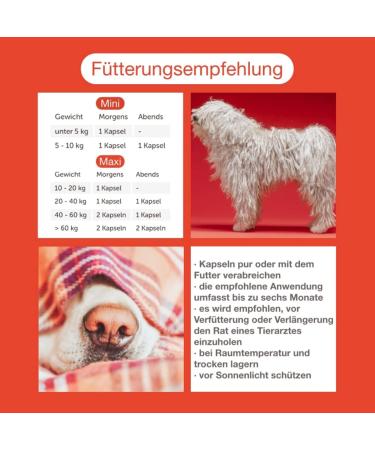 Canimove Doppelpack (200 Capsules) - Veterinary-Approved Support for Heart Function in Large Dog Breeds - Buy Online on SooperMarket.com