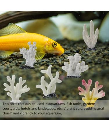 Ctpeng 12 Pieces Small Artificial Coral Decoration - White Resin Coral Reef Decor for Aquariums - Ideal Aquatic Decor for International Shipping - Buy Online on SooperMarket.com