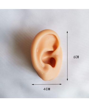 Soft Silicone Ear Model Artificial Human Ear for Acupuncture Ohr Picking Practice Practice Medical Teaching Display Props Left Right 1 Pair - Buy Online on SooperMarket.com