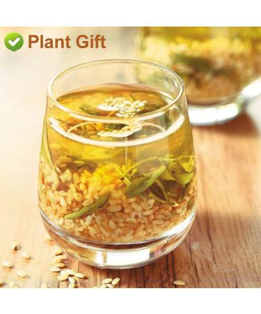 Flower 2 (170G-Genmaicha Tea) - Buy Online on SooperMarket.com
