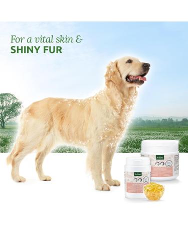 AniForte Premium Salmon Oil 200 Tablets for Dogs & Cats - Natural Norwegian Fish Oil Supplement with Omega 3, 6, EPA, DHA & ALA for Coat, Skin, Joints & Brain Health - Buy Online on SooperMarket.com