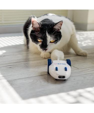 Kittio Robo Mouse: Interactive Cat Toy with Smart Steering Sensors - USB Charging - Buy Online on SooperMarket.com