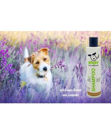 Roqsy Nature Dog Shampoo 500ml | Vegan Organic Natural for Long-Haired & Sensitive Skin | Allergy-Friendly for All Breeds & Fur Colors - Buy Online on SooperMarket.com