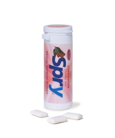 Spry Chewing Gum Cinnamon 30 pieces 6 pack