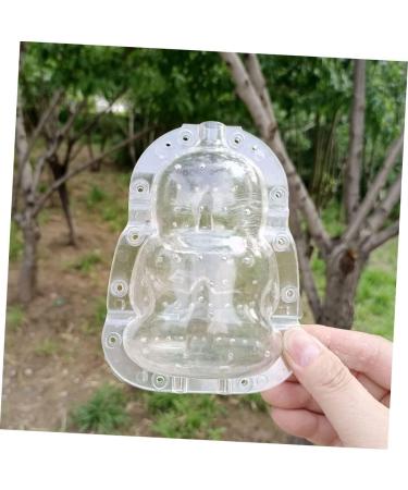 Operitacx 6 Pcs Vegetable Shaping Mold Ginseng Vegetables Clear Mold Small Melon Mold Small Fruit Strawberry Transparentx3pcs 10x7cmx3pcs - Buy Online on SooperMarket.com