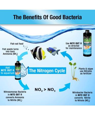 Microbe-Lift Nite-Out II Aquarium Cleaner 16oz | Rapid Ammonia & Nitrite Reduction | Freshwater & Saltwater Tank Treatment - Buy Online on SooperMarket.com