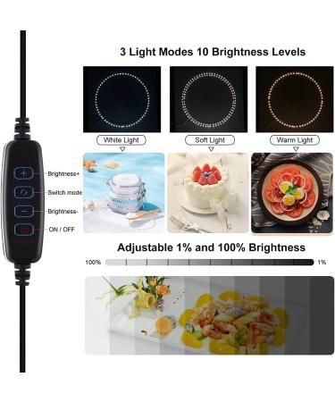 16x16 Photo Light Box for Product Photography - Quick Install, Professional Studio with Dimmable Lights and 12 Color Backgrounds - Buy Online on SooperMarket.com
