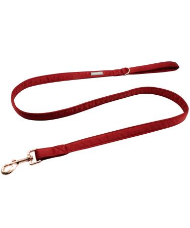 Lionet Paws Dog Leash - Silk Leash for Small Medium Large Dogs Matching Collars for Girls and Boys XS Leash (Pack of 1) Red