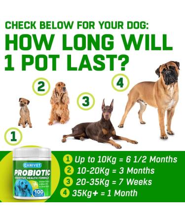 CANIVET Probiotics for Dogs. Canine Dietary Supplement - Aids Digestive Health 100g Powder Dog Probiotic. 5 Billion CFU** with 10 Strains of Good Bacteria for your Dog's Digestive Health. 100 g (Pack of 1) - Buy Online on SooperMarket.com