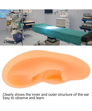 Flexible Waterproof Silicone Ear Model (Right) - Professional Hospital Display - Buy Online on SooperMarket.com