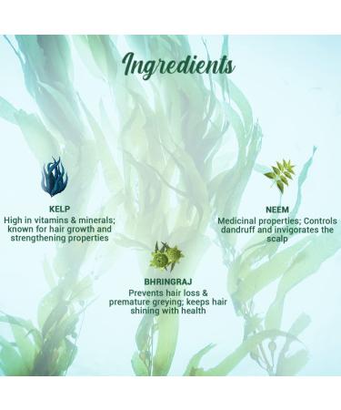Biotique Bio Kelp Fresh Growth Protein Shampoo 800ml - Nourish & Strengthen Hair | International Shipping Available - Buy Online on SooperMarket.com