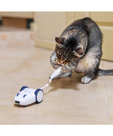 Kittio Robo Mouse: Interactive Cat Toy with Smart Steering Sensors - USB Charging - Buy Online on SooperMarket.com