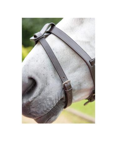 Shires Velociti GARA Flash Strap Havana Cob