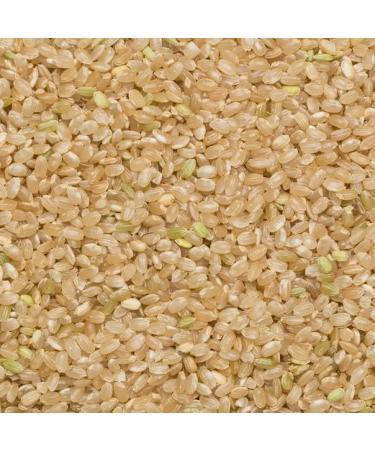 Wholefood Earth Organic Short Grain Brown Rice 3kg - GMO Free, Vegan, Source of Fibre - Certified Organic - Buy Online on SooperMarket.com