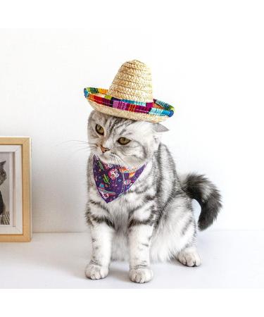 1 PCS Pet Straw Hat Funny Mini Mexican Hats Mexican Sombrero Cap Dog Sombrero Hat for Fiesta Carnival Mexican Theme Party Decorations Dogs Cats Party Favors - Buy Online on SooperMarket.com
