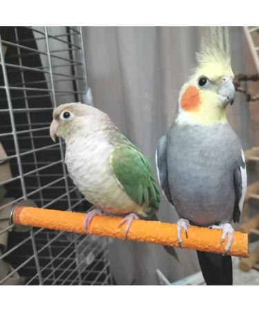 Anteer 12 Pack Bird Parrot Swing Chewing Toys - Hanging Bell Cage Toys for Small Parakeets, Cockatiel, Conures, Finches, Budgie, Macaws, Parrots, Love Birds - Buy Online on SooperMarket.com