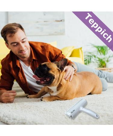 Paku Paku Pet Hair Roller - Best Lint Roller for Cats & Dogs | Effective Pet Hair Remover International Shipping - Buy Online on SooperMarket.com