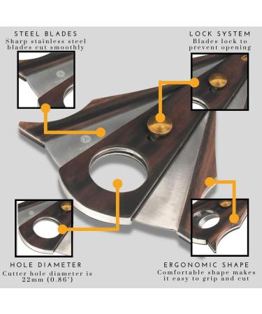 Double Blade Cigar Cutter - Stainless Steel - Buy Online on SooperMarket.com