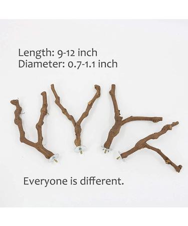 Kathson Parrot Perch Stand - Natural Wild Grape Paw Grinding Pole for Parakeet, Cockatiels, Budgies, Conure, Lovebirds | Bird Cage Accessories - Buy Online on SooperMarket.com
