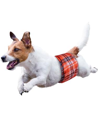 Micoooyo Washable Abdominal Bandage for Male | Reusable Dog Diapers | Suctionable Doggy Wraps with Adjustable Closure - XXLarge (3-Pack | Red Blue & Gray) - Buy Online on SooperMarket.com