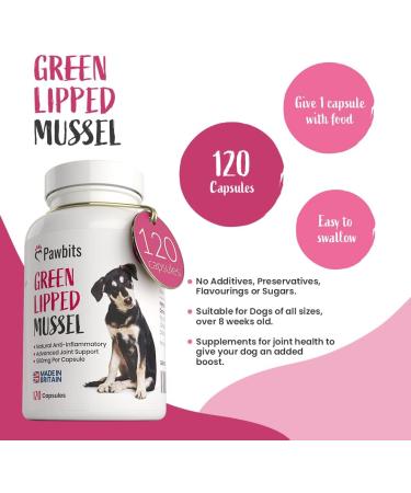 Pawbits 120 Green Lipped Mussel 500mg Hip & Joint Support Capsules for Dogs | Premium New Zealand Mussel Natural Dog Supplements | UK Made - Buy Online on SooperMarket.com