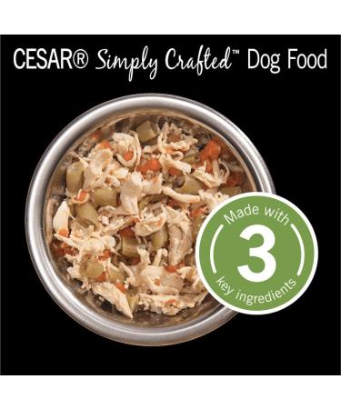 Cesar Simply Crafted Adult Wet Dog Food Chicken Carrots & Green Beans 37g Pack of 10 - Buy Online on SooperMarket.com