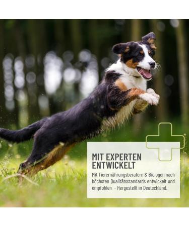 Reavet Z-Blocker Snack for Dogs (170g) - Grain-Free Long-Lasting Treat with Black Cumin Oil Cistroid & Coconut Oil - Optimal Rewards for up to 3 Months - Buy Online on SooperMarket.com