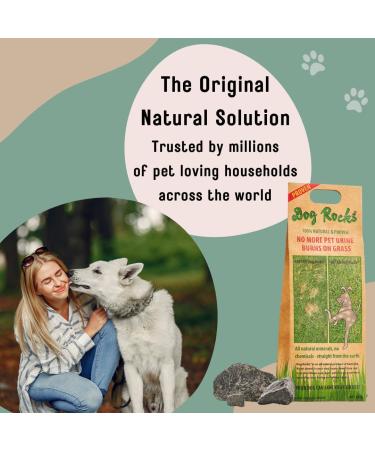 Dog Rocks - Urine Patch Preventer (200g) / Natural Dog Urine Neutraliser for Water Bowls Grass Repair Urine Burn Patch Repair 200 g (Pack of 1) - Buy Online on SooperMarket.com