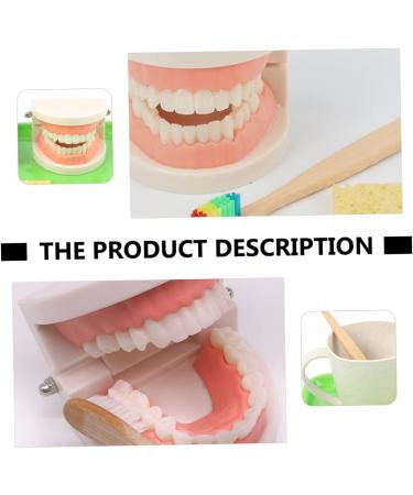Frcolor Early Dental Education Role-Playing Toys | Wooden Puzzle for Kids & Toddlers - Learn to Brush Teeth Fun! - Buy Online on SooperMarket.com