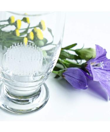 Wazakura Clear Ikebana Kenzan Japanese Flower Holder  Made in Japan  Plastic Floral Arranging Pin Frog  Round - 3(78mm) Clear - Buy Online on SooperMarket.com