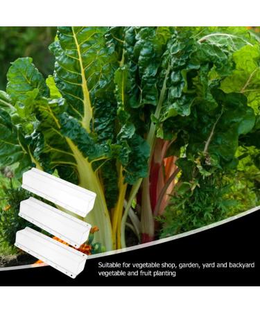 GANAZONO 3pcs Cucumber Mold Square Cucumber Growing Molds Solar Water Fountain Stereotypes Pp Ginseng Fruit - Buy Online on SooperMarket.com