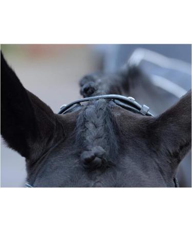 Buy Busse Bridle Emotion Black/Crystal for Thoroughbreds | Premium Quality International Shipping - Buy Online on SooperMarket.com